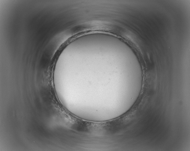 X0000081270875200701110905