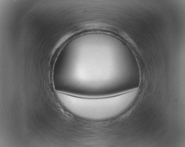 X0000081270877200701110905