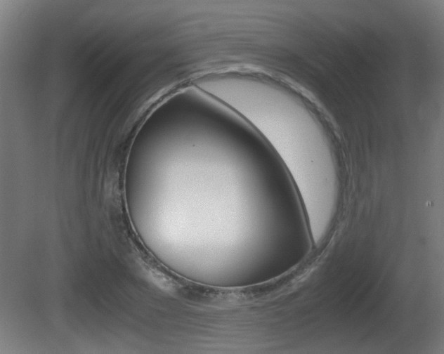 X0000081270881200701110905