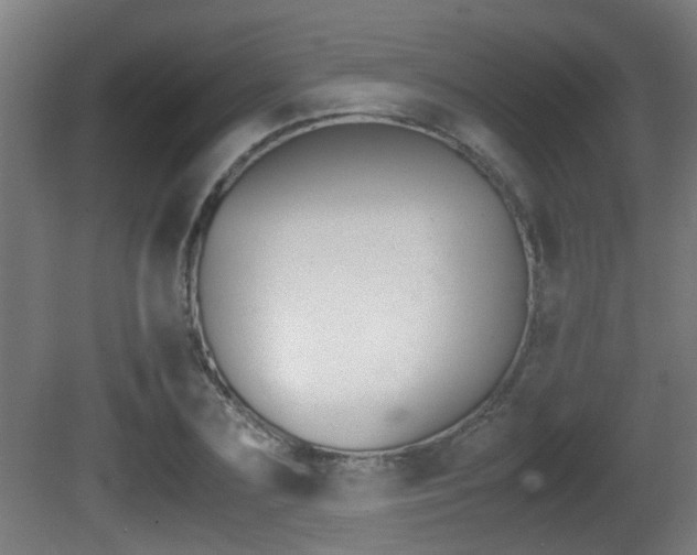 X0000081270883200701110905