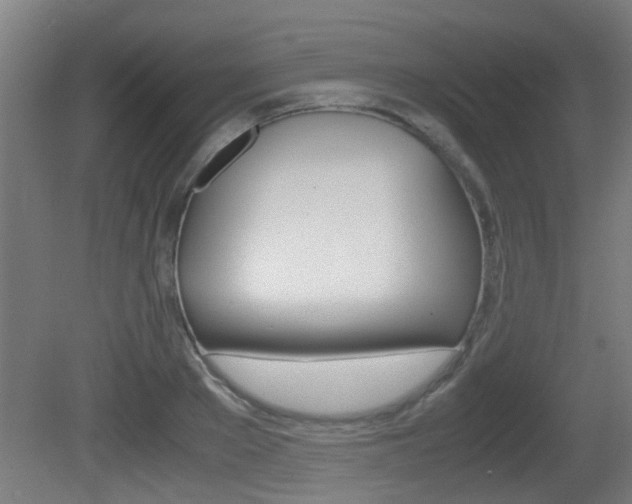 X0000081270889200701110905