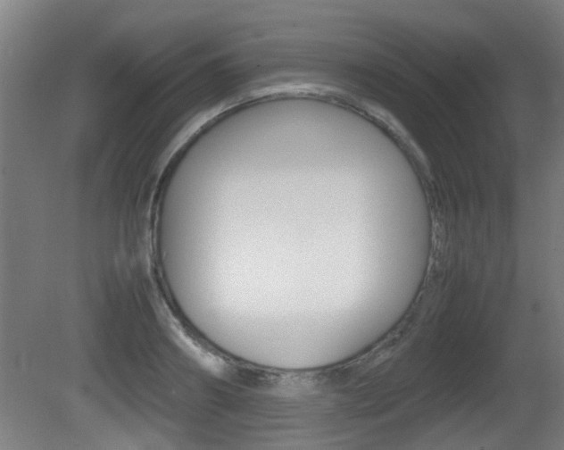 X0000081270890200701110905