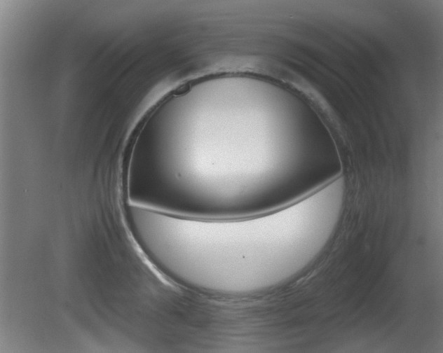 X0000081270894200701110905
