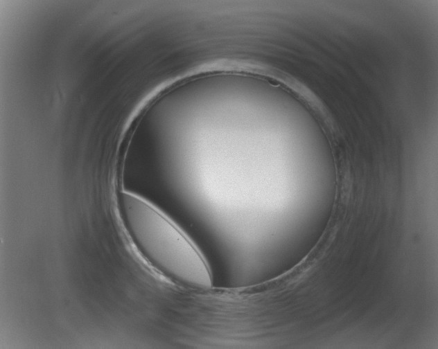 X0000081270896200701110905