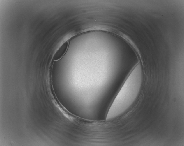 X0000081270898200701110904