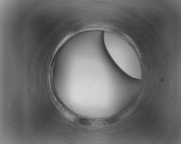 X0000081270899200701110904