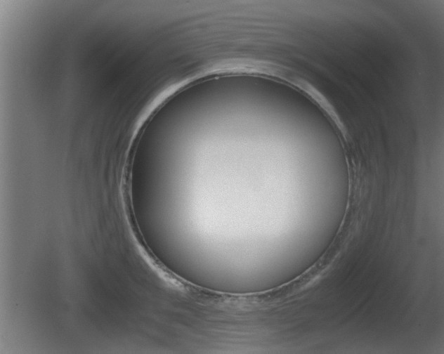 X0000081270901200701110904