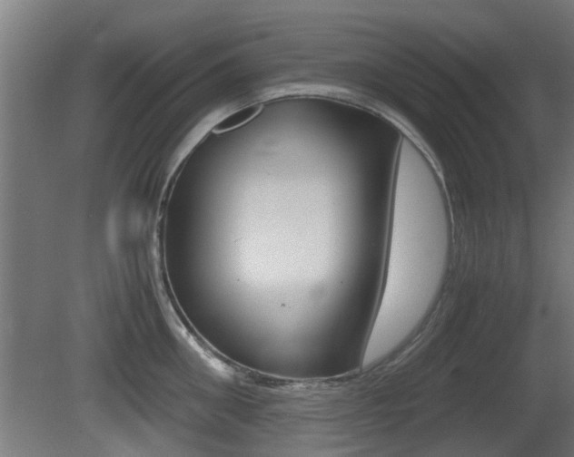 X0000081270906200701110904