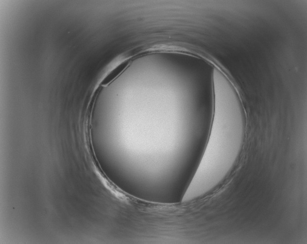 X0000081270909200701110904