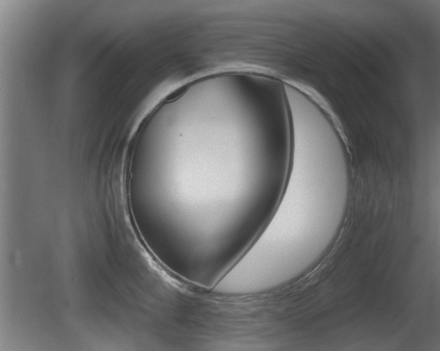X0000081270910200701110904