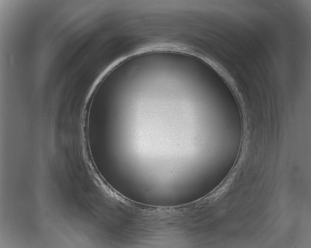 X0000081270912200701110904