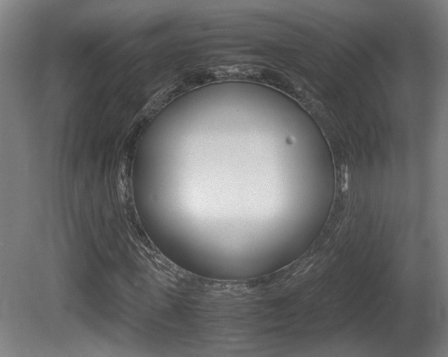 X0000081270915200701110903