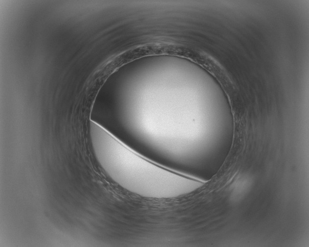 X0000081270919200701110904