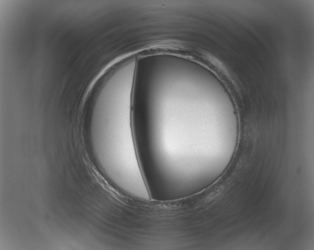 X0000081270923200701110904