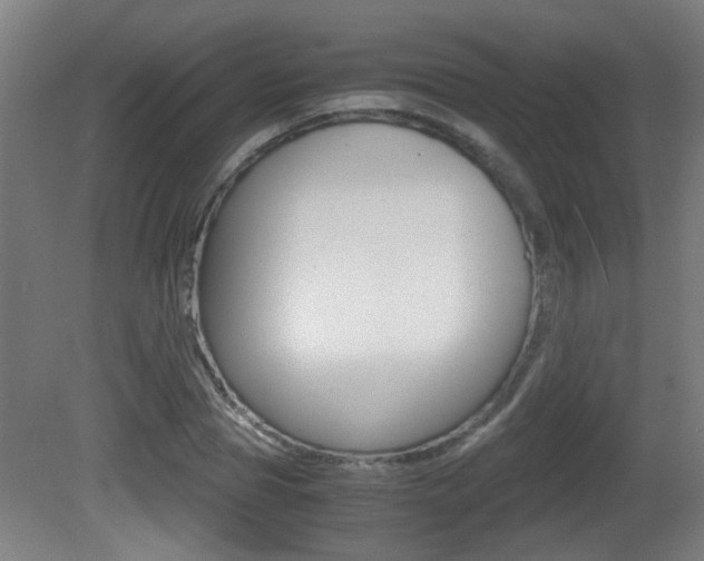 X0000081270929200701110904