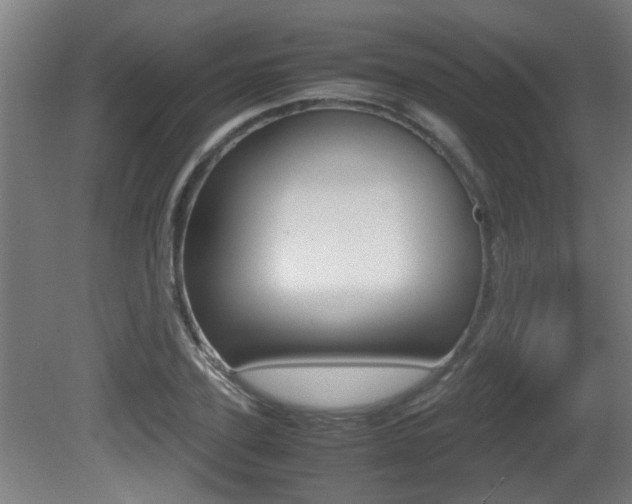 X0000081270931200701110904