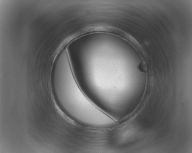 X0000081270938200701110904
