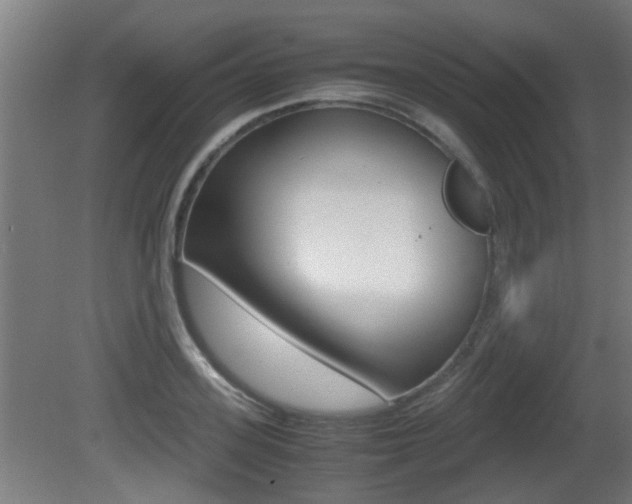 X0000081270939200701110904
