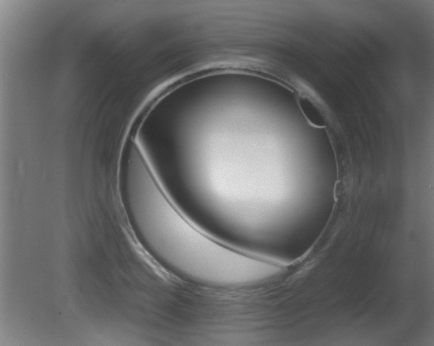 X0000081270940200701110904