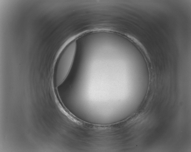 X0000081270941200701110904