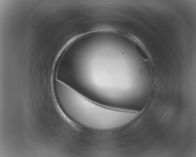 X0000081270947200701110904