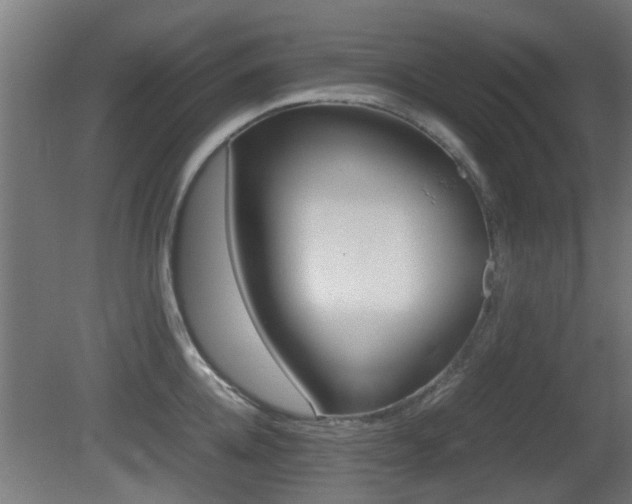 X0000081270952200701110904
