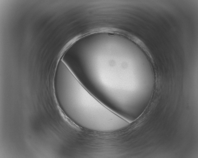 X0000081270954200701110904
