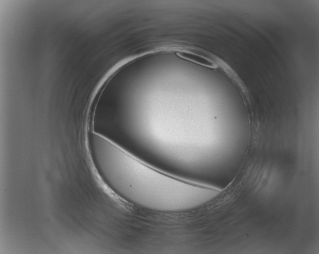 X0000081270955200701110904
