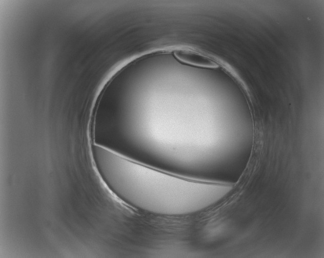 X0000081270959200701110904