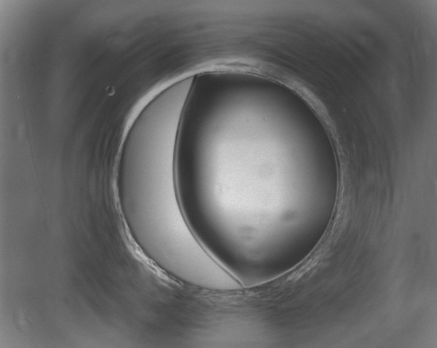 X0000081270960200701110904