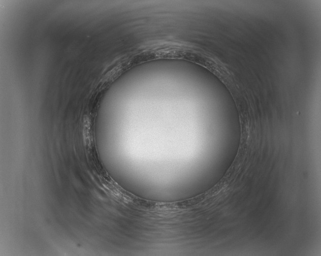 X0000081270964200701110903