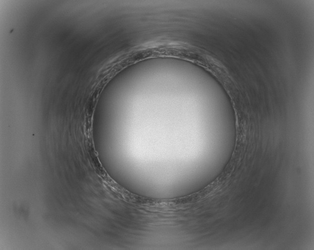 X0000081270966200701110903