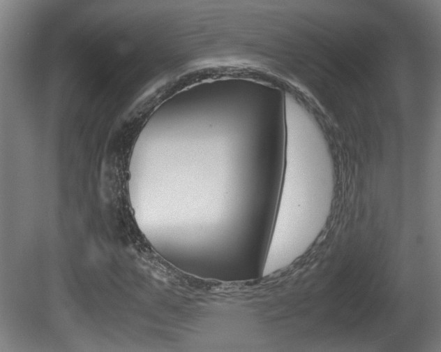 X0000081270967200701110903