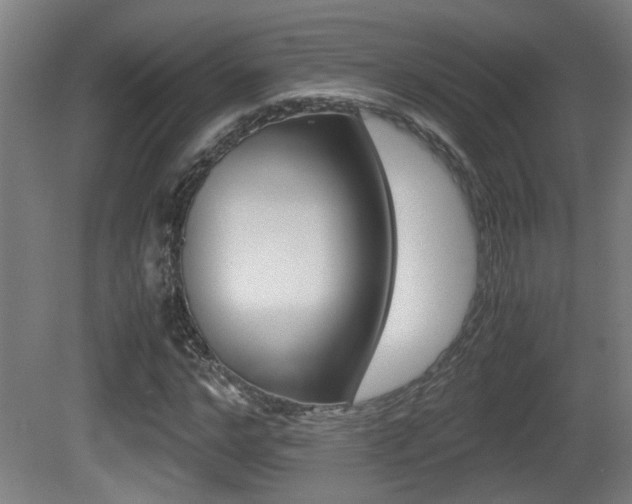 X0000081270968200701110903