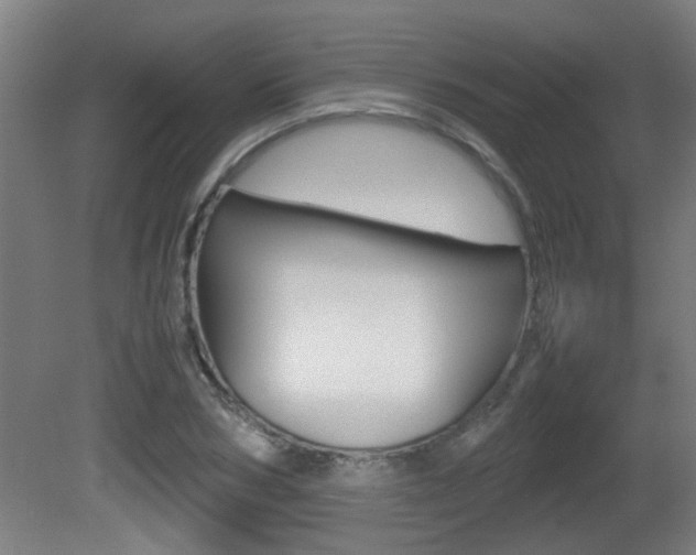 X0000081270978200701110903