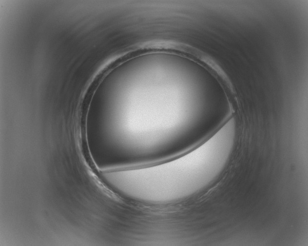 X0000081270984200701110903