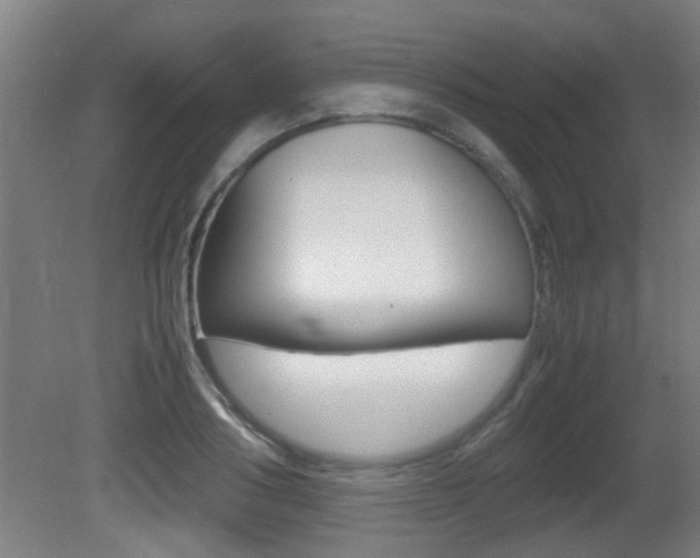X0000081270986200701110903