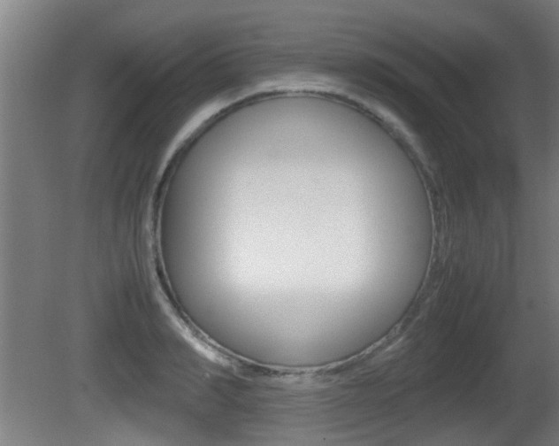 X0000081270990200701110903