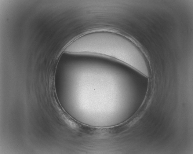 X0000081270993200701110903