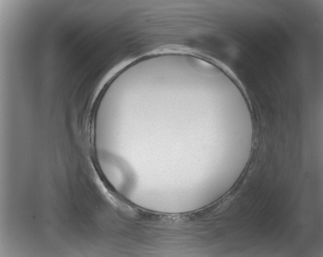X0000081271003200701110903