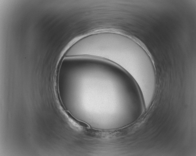 X0000081271005200701110903