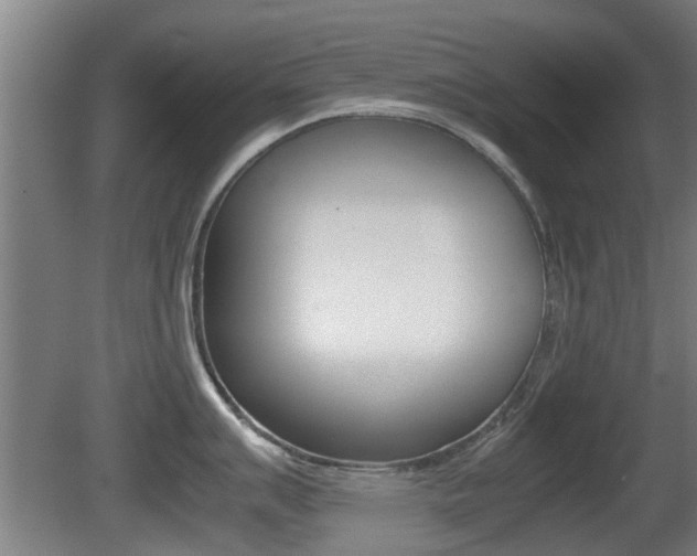 X0000081271007200701110903
