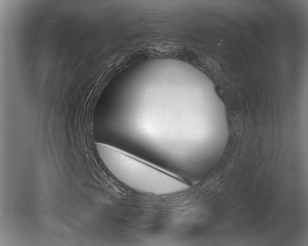 X0000081271009200701110902