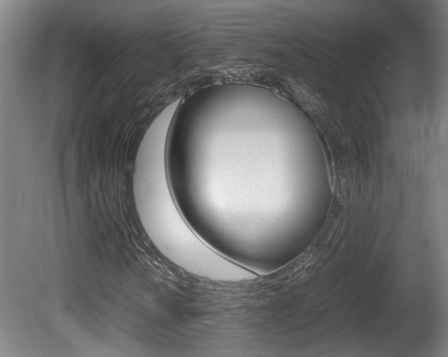 X0000081271010200701110902