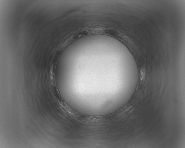X0000081271011200701110902
