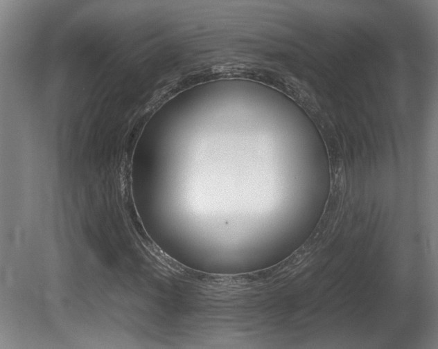 X0000081271012200701110902