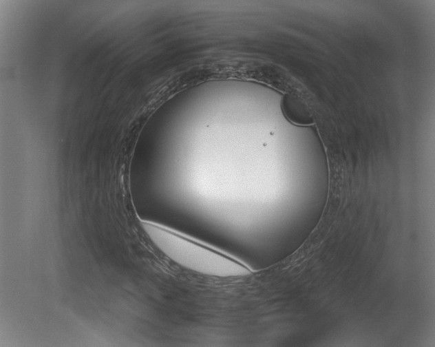 X0000081271013200701110902