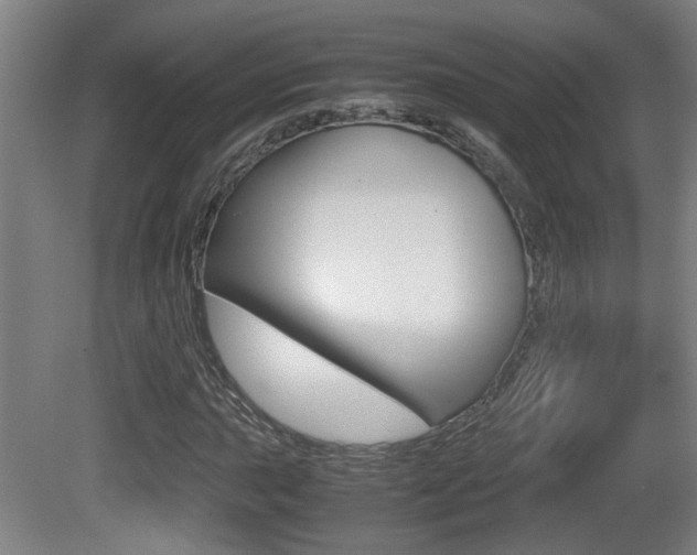 X0000081271015200701110902