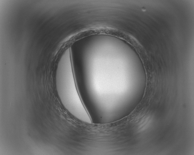 X0000081271016200701110902