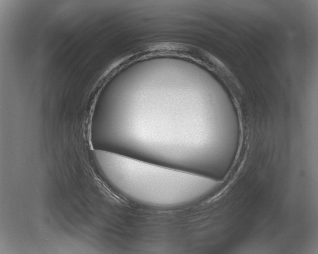 X0000081271017200701110902